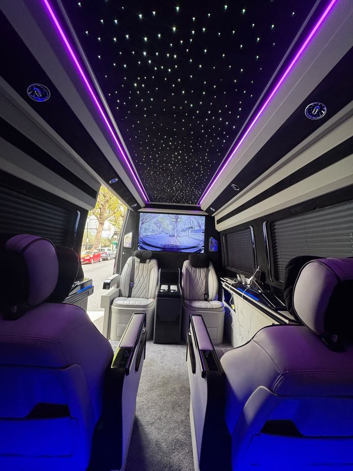 Sprinter cabin with starlight ceiling and screen